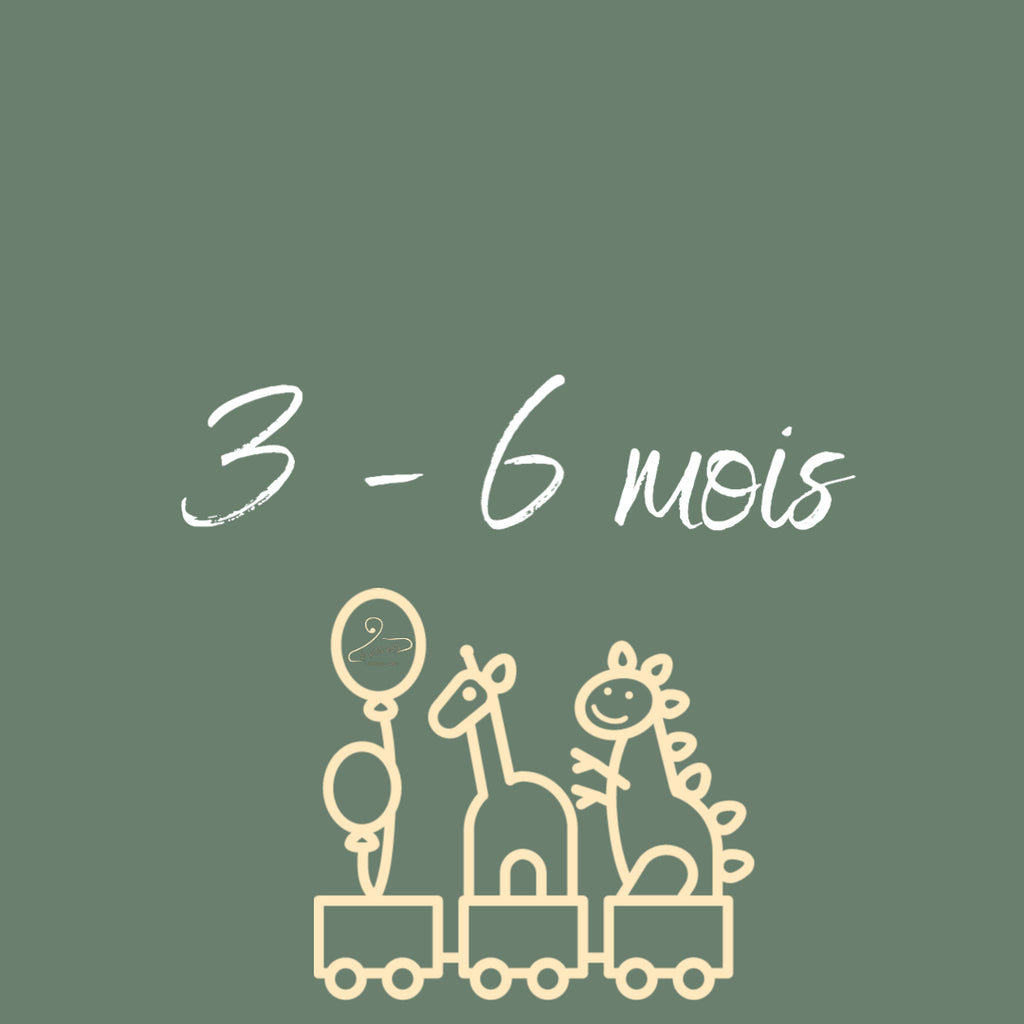 3 - 6 mois
